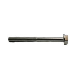 Tornillo inox fijación pistón 5cp2150w