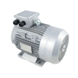 Motor eje hueco 2,2 kw iec100 3 cv eje 24 trifásico