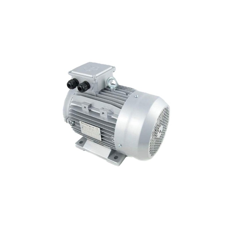 Motor eje hueco 3 kw iec100 4 cv eje 24 monofásico