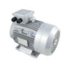 Motor eje hueco 3 kw iec100 4 cv eje 24 trifásico